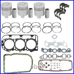 3000 Tractor 175 CID Diesel Engine 4.2 Overhaul Kit Fits Ford