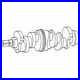 Crankshaft 76 Tooth Gear Late fits Ford 6700 6610 7610 7700 6600 7710 7600