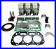 Engine Overhaul Rebuild Kit for Ford NH Tractor TC30, TC33, TC33D. 50mm