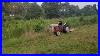 First Time Putting The Ford 600 To Work Running The 6 Ft Brush Hog For A Food Plot Lazypondfarm