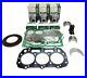 For Ford NH TC30, TC33, TC33D Compact Tractor Engine Overhaul Rebuild Kit