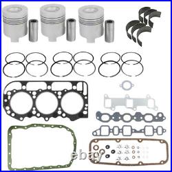 Overhaul Kit Fits Ford 3000 Tractor 175 CID Diesel Engine 4.2