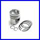 Piston & Rings for Ford New Holland std F161179